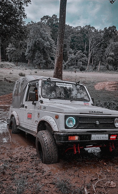 势有着精准 势有着精准