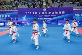 也许球迷 也许球迷